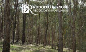 10 ha, en San José (ER)